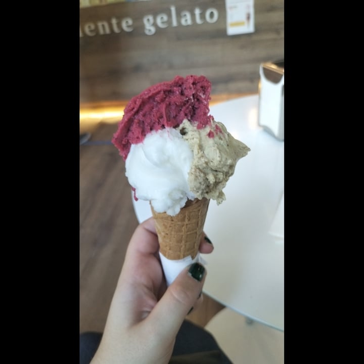 photo of byNice Jesi Gelato Artigianale shared by @ileniaia on  16 Jun 2022 - review