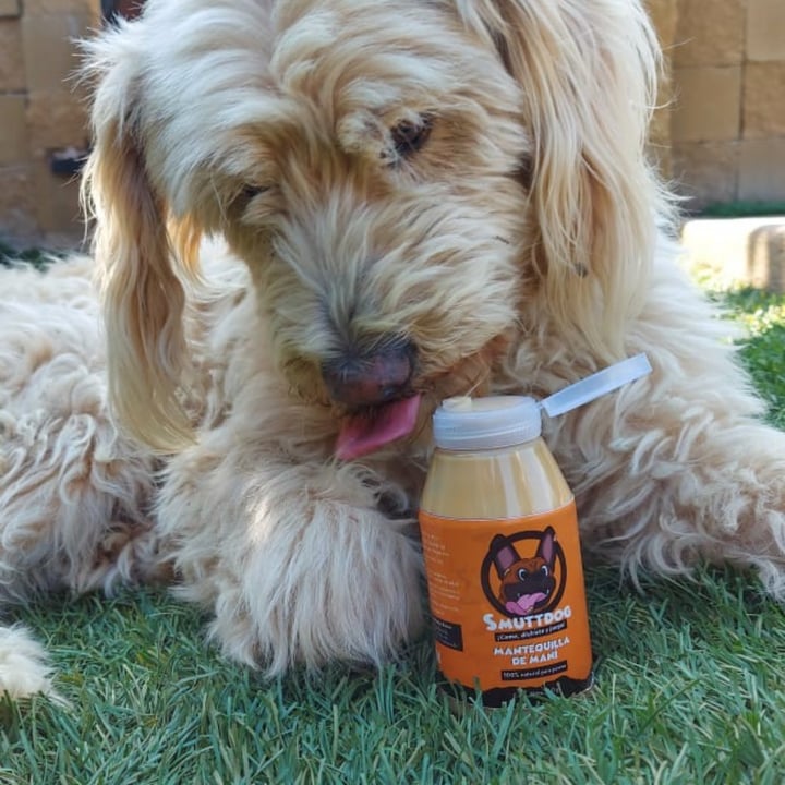 review photo of Smuttdog Smuttdog shared by @frani8 on 08 Aug 2021 - review