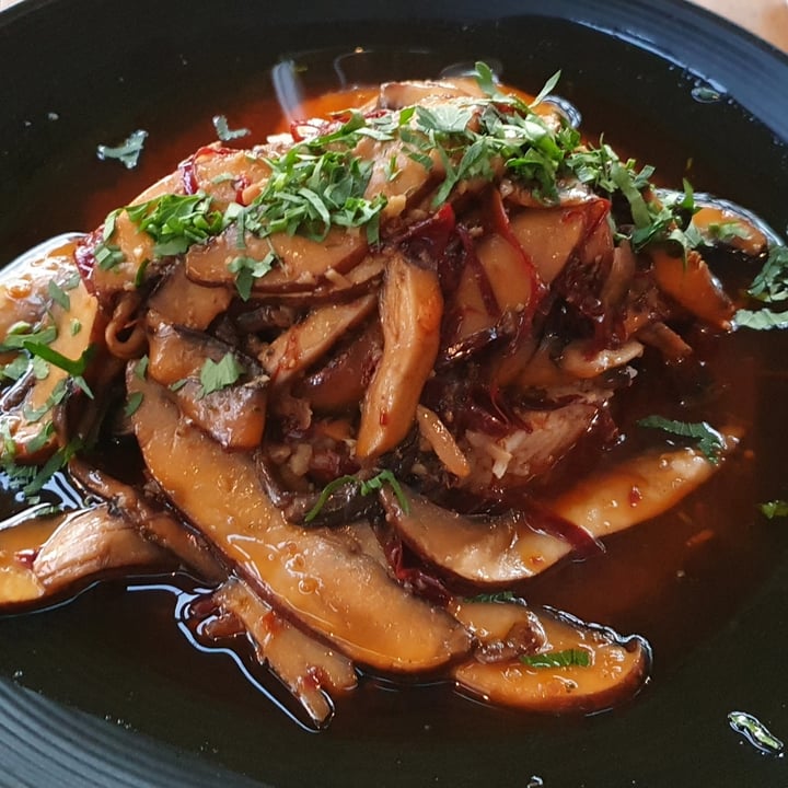 review photo of 9 FUEGOS Hongos Salteados Al Ajillo shared by @erpantoja on 18 Jun 2022 - review