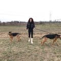 ariannaarisio @ariannaarisio profile image