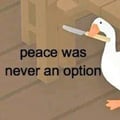 @patta profile image