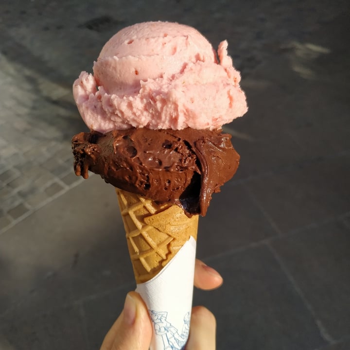 review photo of Gelateria Fratelli Gelato al cioccolato fondente shared by @milvavegan on 12 Mar 2022 - review