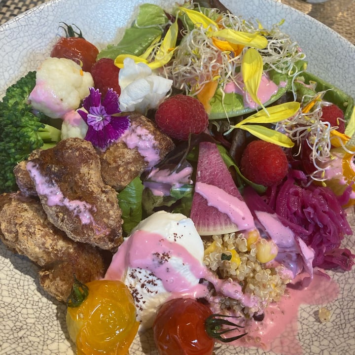 photo of PEACE TABLE 渋谷道玄坂店 Uruoi Bowl shared by @cico777 on  19 Jun 2022 - review