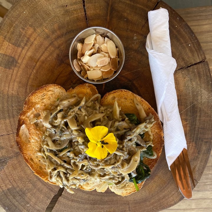 photo of The Conscious Kitchen Creamy Pulled Mushrooms on Rye shared by @luigif on  24 Dec 2020 - review