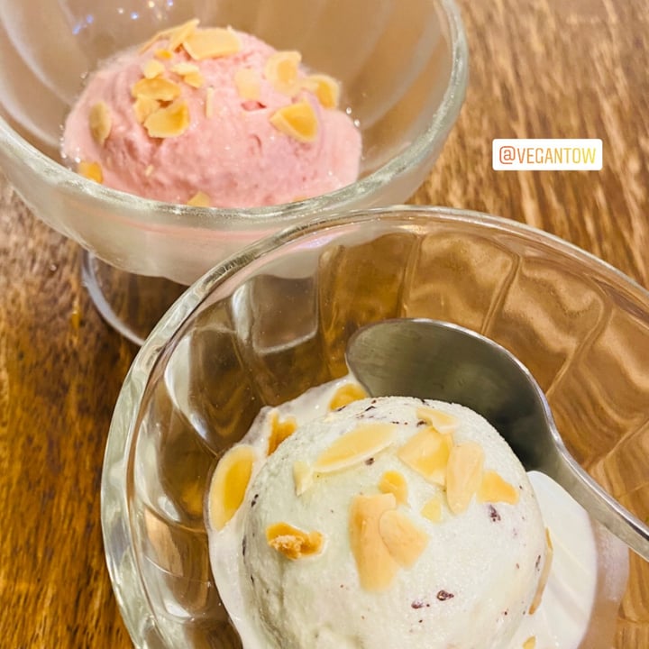 photo of VegFarm無國界蔬食餐廳 Nice Cream shared by @vegantow on  16 Jun 2020 - review