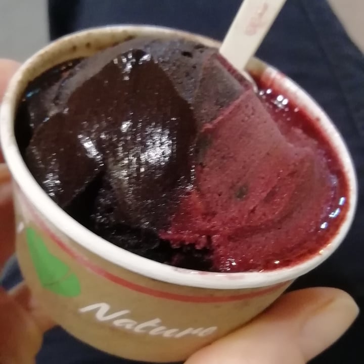 photo of Zelo Gelateria coppetta mirtillo e Black lava shared by @lisart76 on  21 May 2022 - review