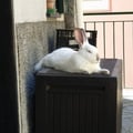 ricky77 @ricky77 profile image
