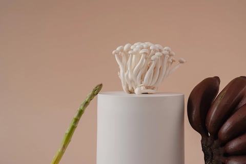 Could mushrooms be the Japanese secret to longevity?