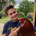 @kchmils profile image