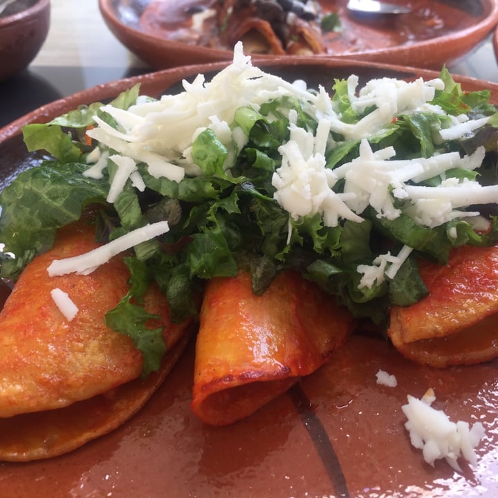 photo of Mictlan Antojitos Veganos Chiltlaxcalli enchiladas en salsa roja rellenas de papa y zanahoria shared by @zullybee on  27 Mar 2021 - review