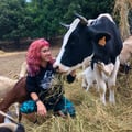 laiavegana @laiavegana profile image