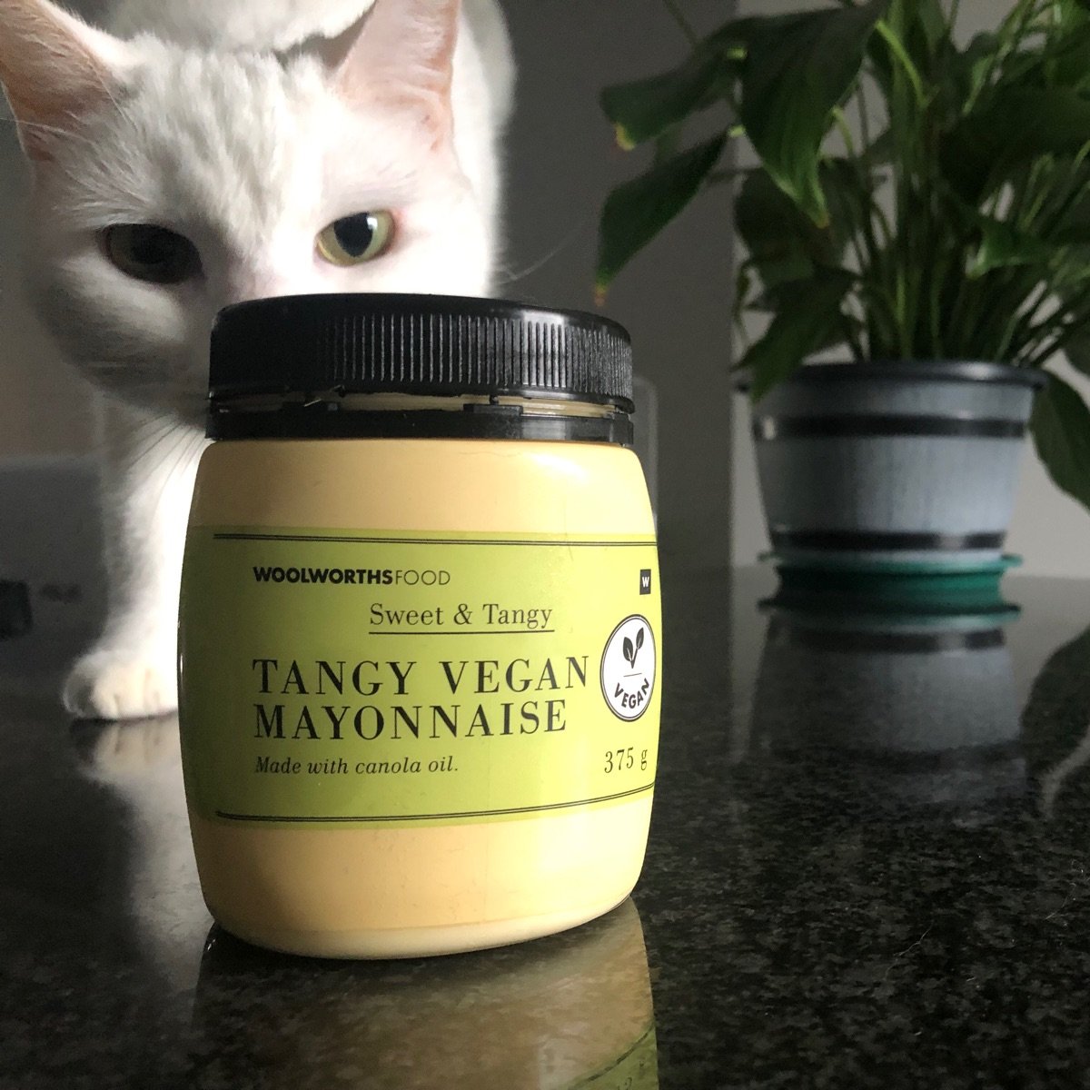 Woolworths Food Tangy Vegan Mayonnaise Reviews abillion