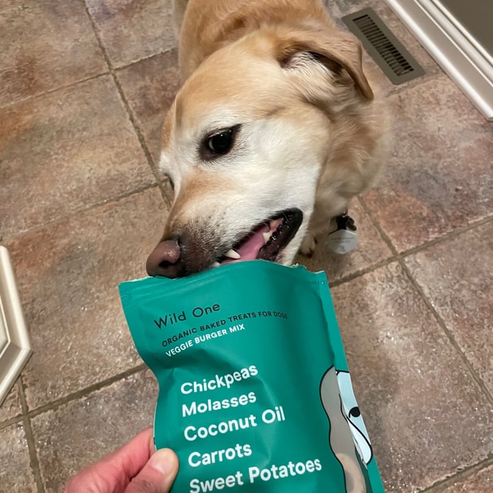 Wild one veggie burger mix Review | abillion