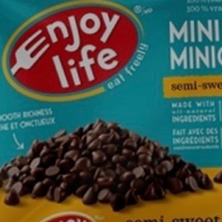 photo of Enjoy Life Semi-Sweet Chocolate Mini Chips shared by @save-the-planet-2000 on  08 Feb 2021 - review