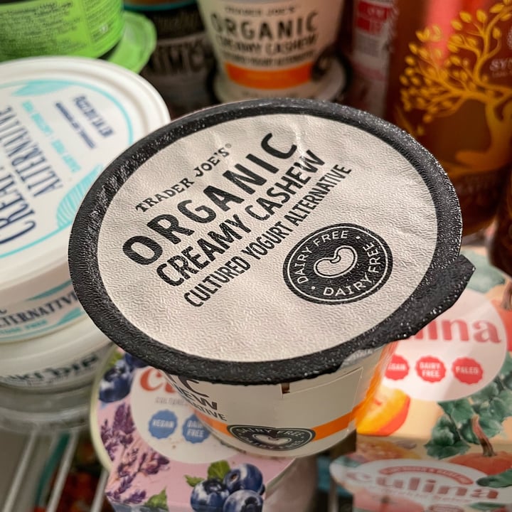 photo of Trader Joe's Organic Creamy Cashew Cultured Yogurt Alternative: Pumpkin Spice shared by @alleycatz on  25 Nov 2021 - review