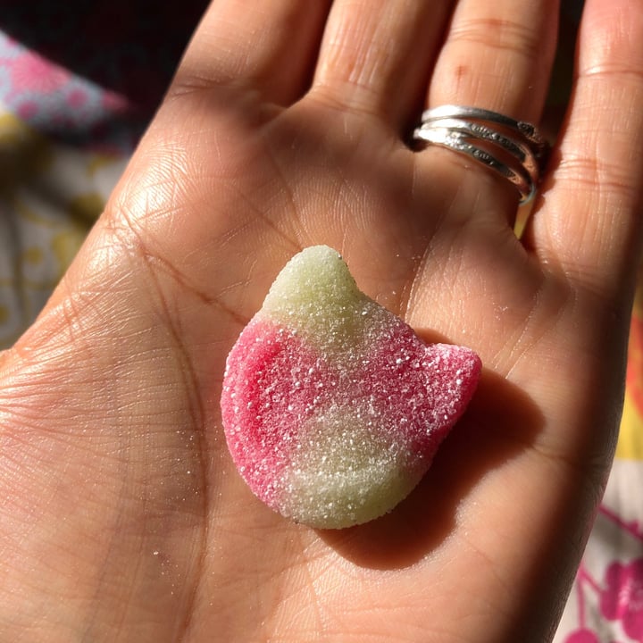 photo of Candy kittens Sour Watermelon shared by @southernveganupnorth on  17 Jun 2020 - review