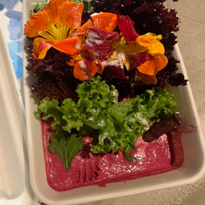 review photo of Purana.Co Shiva Bowl shared by @cathvieira on 11 Jul 2021 - review