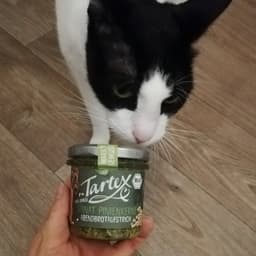 Tartex