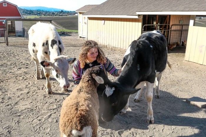 zoe at happy hen animal sanctuary