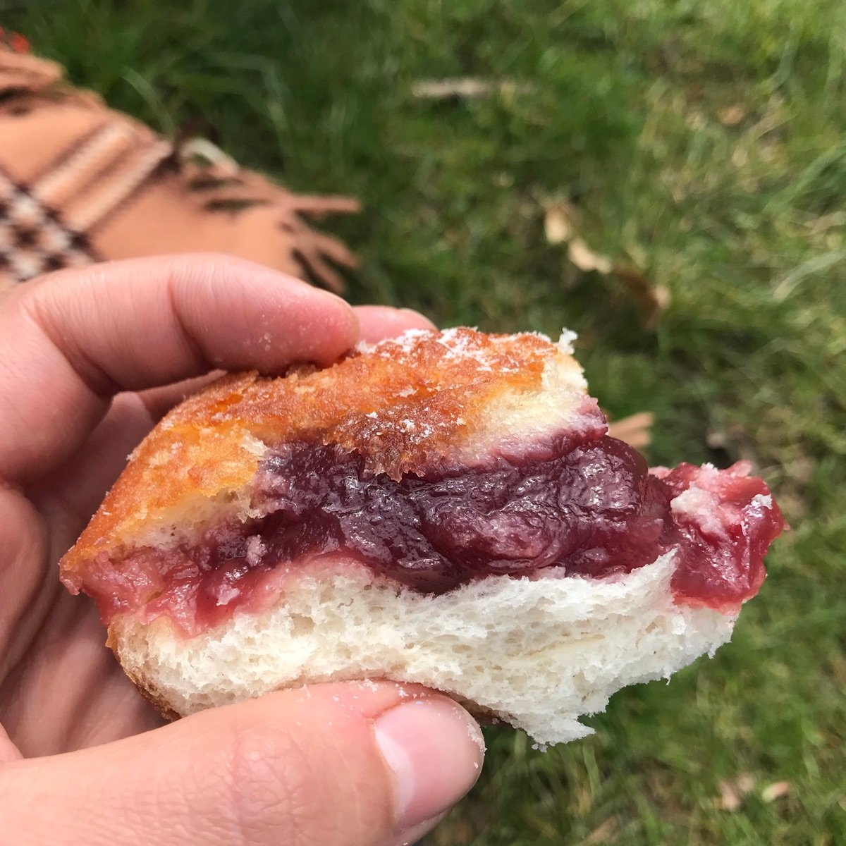 Morrisons Raspberry Jam Doughnuts Reviews abillion