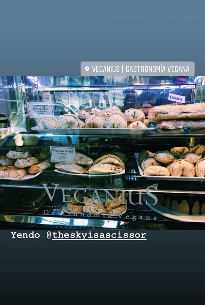 photo of Veganius Empanada de soja texturizada shared by @gonzalohigajo on  12 Oct 2019 - review