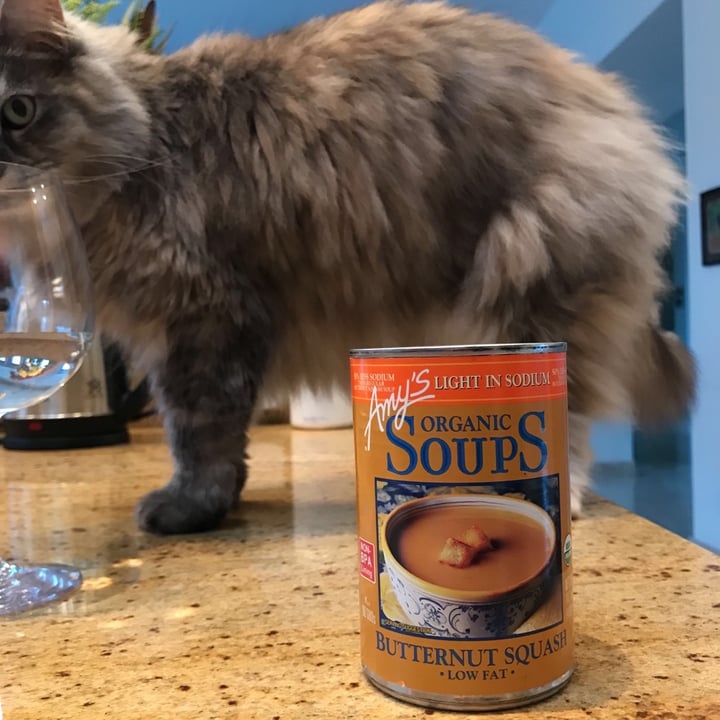 review photo of Amy’s Amy’s Organic Soups Butternut Soup shared by @jesshope on 20 Nov 2019 - review