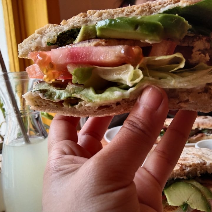 review photo of Café Zeit Sandwich Tofu, Lechuga, Palta Y Tomate shared by @animala on 24 Sep 2022 - review