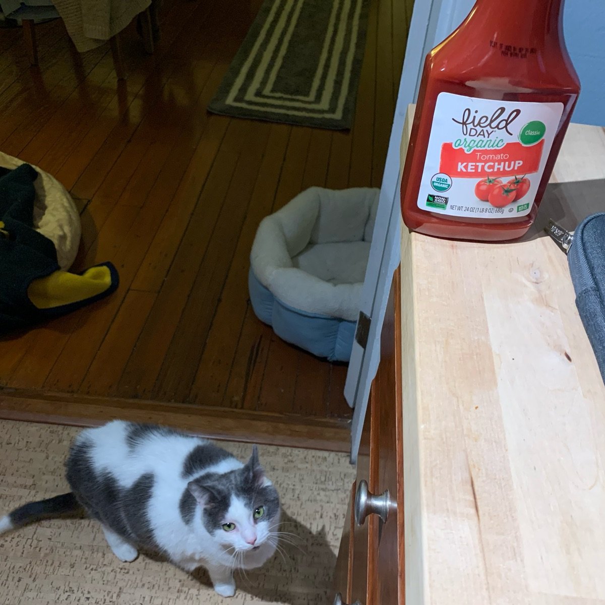 Field Day Organic Tomato Ketchup Reviews abillion