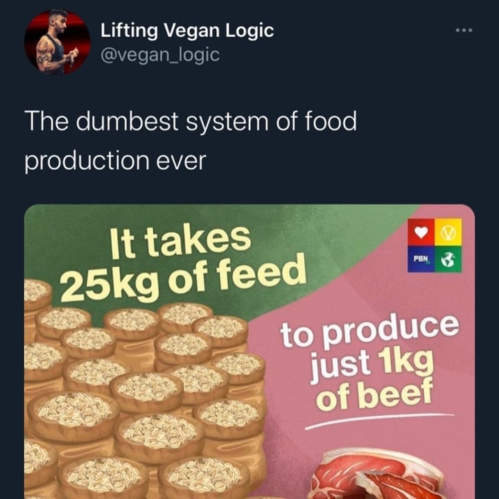 review photo shared by @vegan04 on 22 Apr 2022 - post