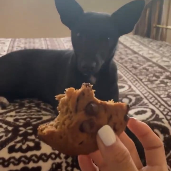 review photo of Pastaflora Galleta de chispas de chocolate shared by @sofreylom on 29 Aug 2021 - review