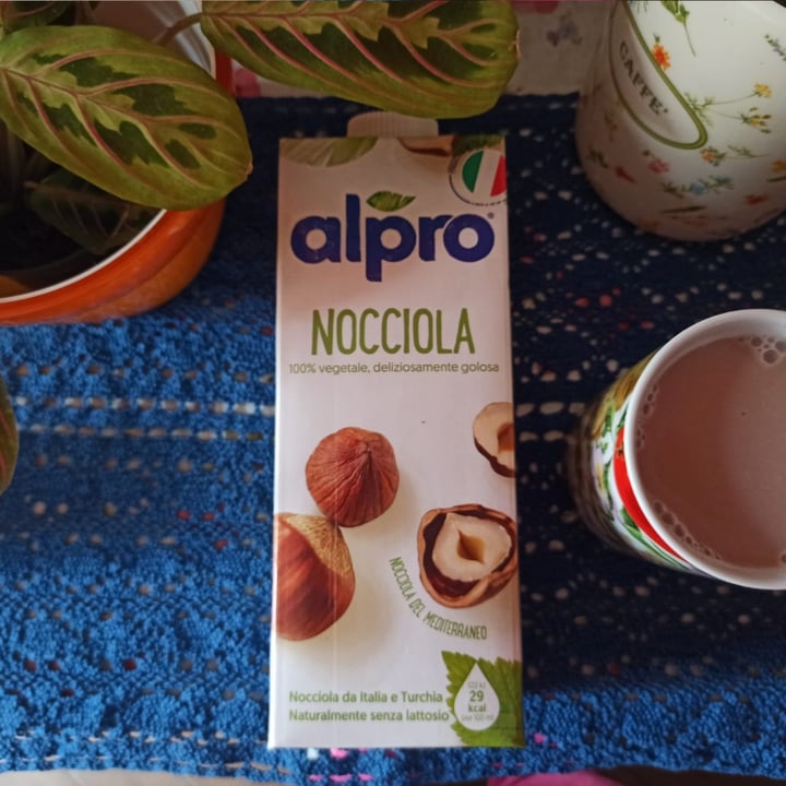 photo of Alpro Alpro Nocciola shared by @gerryhachi on  12 May 2022 - review