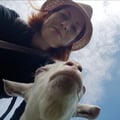 harlette @harlette profile image