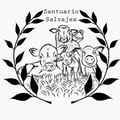 santuariosalvajes @santuariosalvajes profile image
