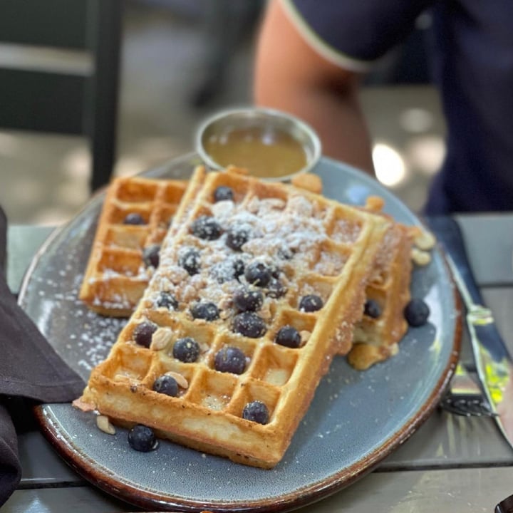 photo of Nic's On Beverly Waffles shared by @veganshugah on  30 Sep 2021 - review