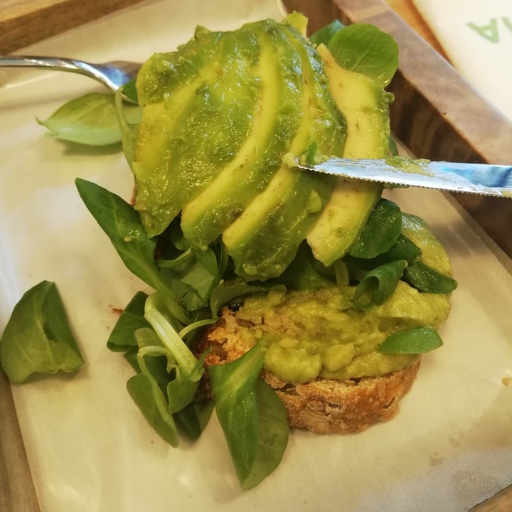 photo of Macha Café Avotoast 100% Avocado shared by @omsohum on  02 Aug 2020 - review