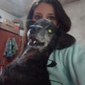 flor87 @flor87 profile image