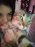 honoluluvegan @honoluluvegan profile image