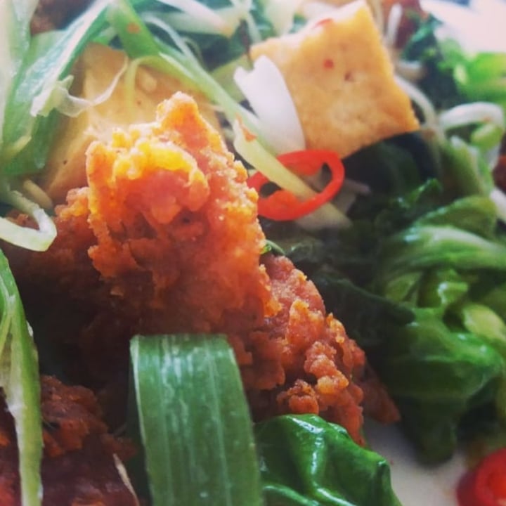 review photo of Down the Hatch Tofu Fingers (sweet chilli) shared by @greenfingers on 28 Mar 2021 - review