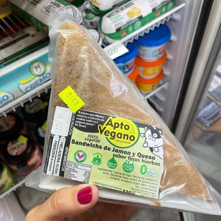 photo of aptovegano sanguche de miga shared by @dinogus on  13 Jun 2022 - review