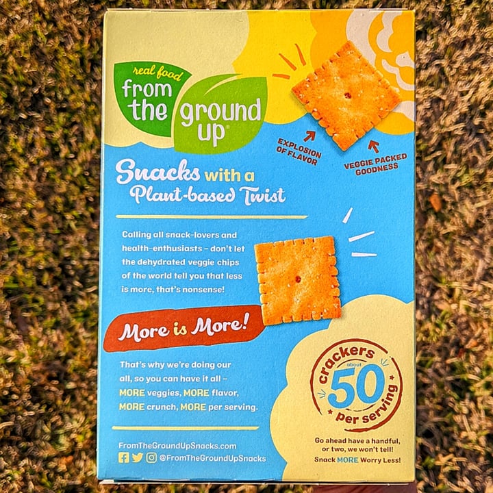 photo of Real Food From The Ground Up Cauliflower Crackers Sea Salt shared by @veggieassassin on  09 Feb 2022 - review