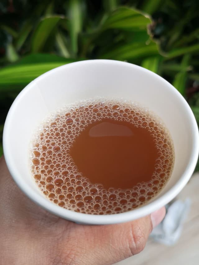 Photo of the dish “Kombucha”