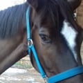@cassymanty profile image