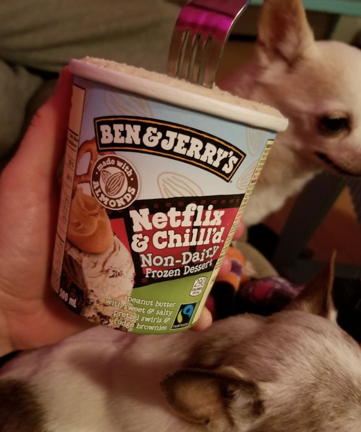 photo of Ben & Jerry's Netflix & Chilll'd Non-Dairy Frozen Dessert shared by @vegandyeries on  30 Mar 2020 - review