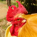 @sunshine-n-lime profile image