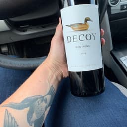Decoy