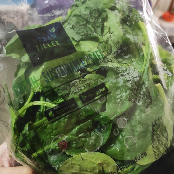 review photo of Urban Tiller Baby spinach shared by @juzm0i on 21 Nov 2020 - review