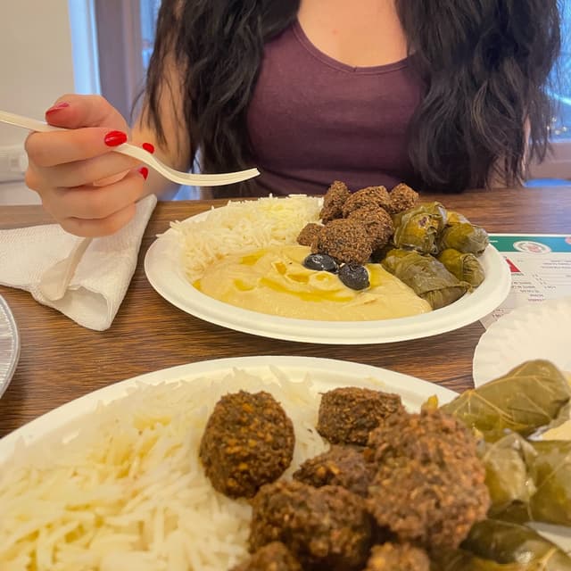Foto do prato “Piatto Vegan con Falafel, Involtini, Riso Basmati e Hummus”