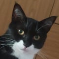miriampann @miriampann profile image