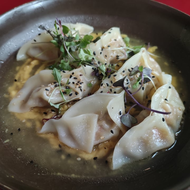 photo of Wild Food Gyozas shared by @tropecientaspatas on  19 Sep 2021 - review