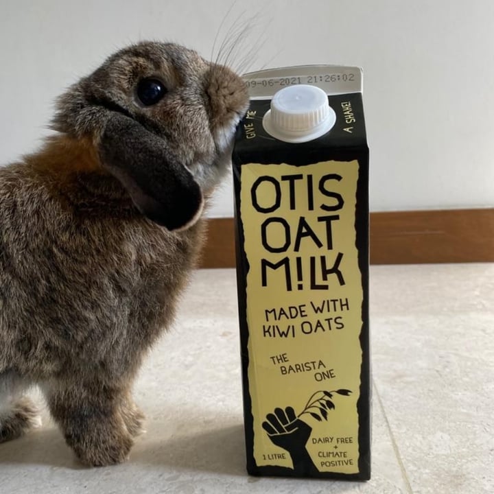 photo of Otis Oat Milk The Barista One shared by @deepaknk on  22 Dec 2020 - review
